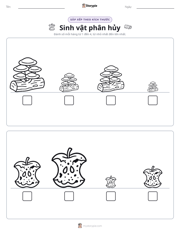 Thứ Tự Kích Thước