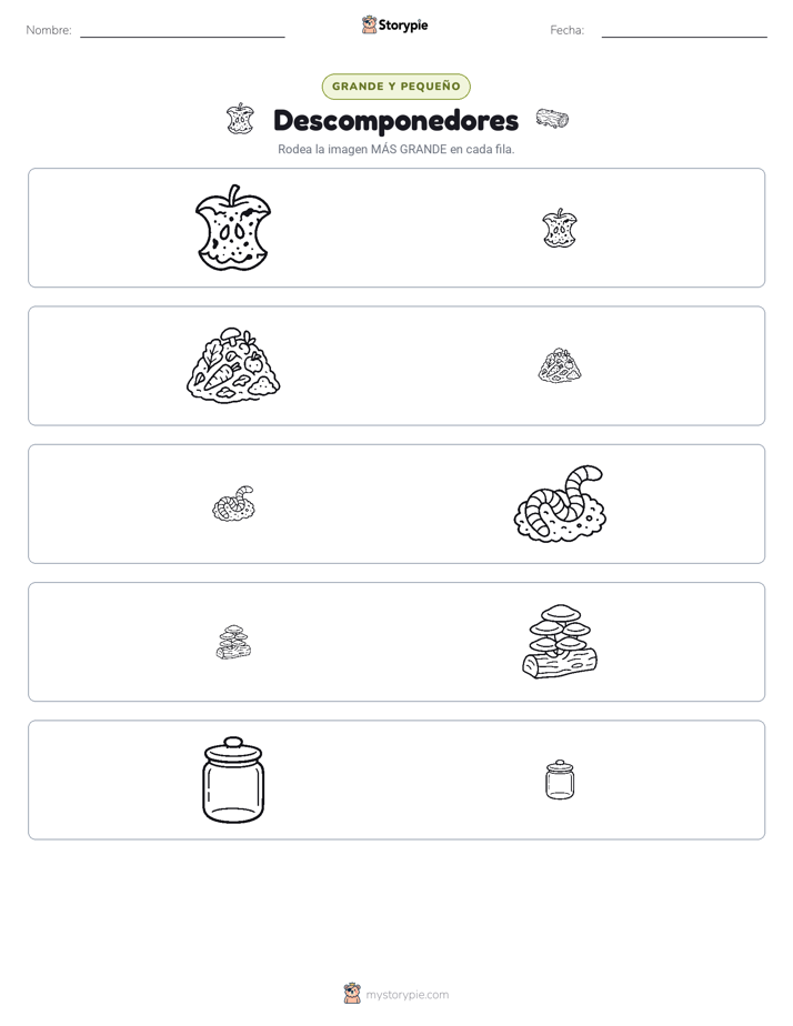 Clasificación