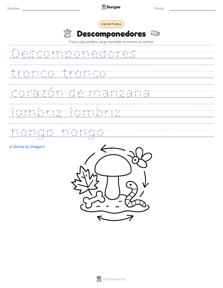 Práctica de Escritura