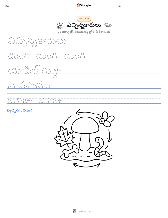 రాయడం సాధన
