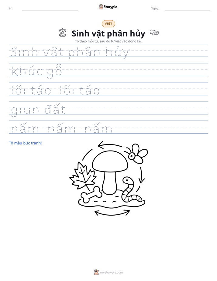 Luyện Viết