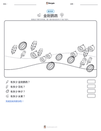 金刚鹦鹉 可打印工作表预览