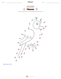 Macaw printable worksheet preview