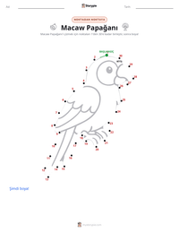 Macaw Papağanı yazdırılabilir çalışma sayfası önizlemesi