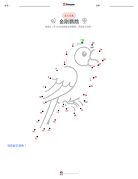 金刚鹦鹉 可打印工作表预览