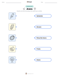 Folha de atividades imprimível Arara para crianças