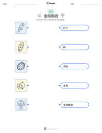 金刚鹦鹉 可打印工作表预览