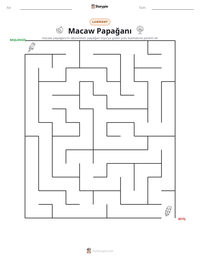Macaw Papağanı yazdırılabilir çalışma sayfası önizlemesi