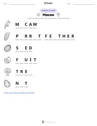 Macaw printable worksheet preview