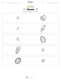Macaw printable worksheet preview