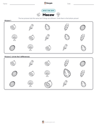 Macaw printable worksheet preview