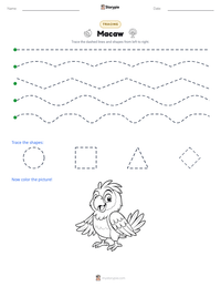 Macaw printable worksheet preview