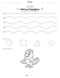 Macaw Papağanı yazdırılabilir çalışma sayfası önizlemesi