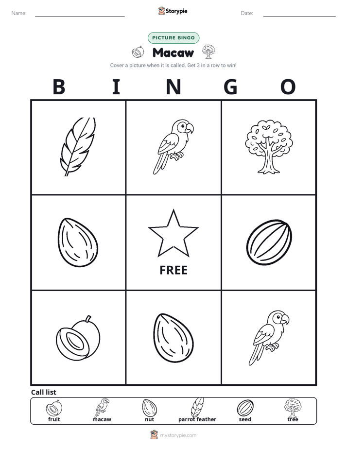 Picture Bingo
