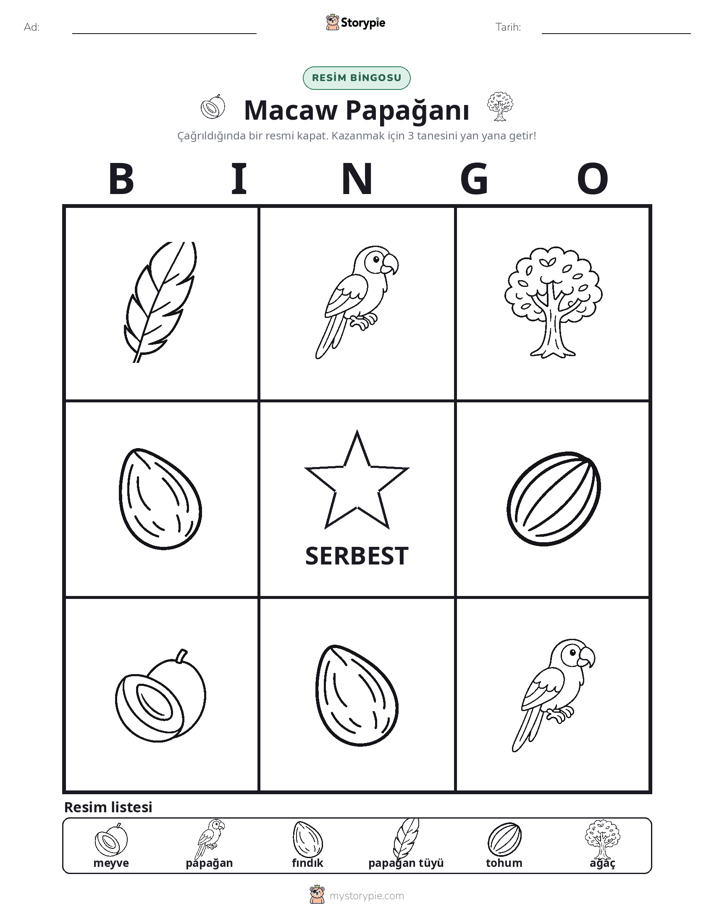 Resim Bingo