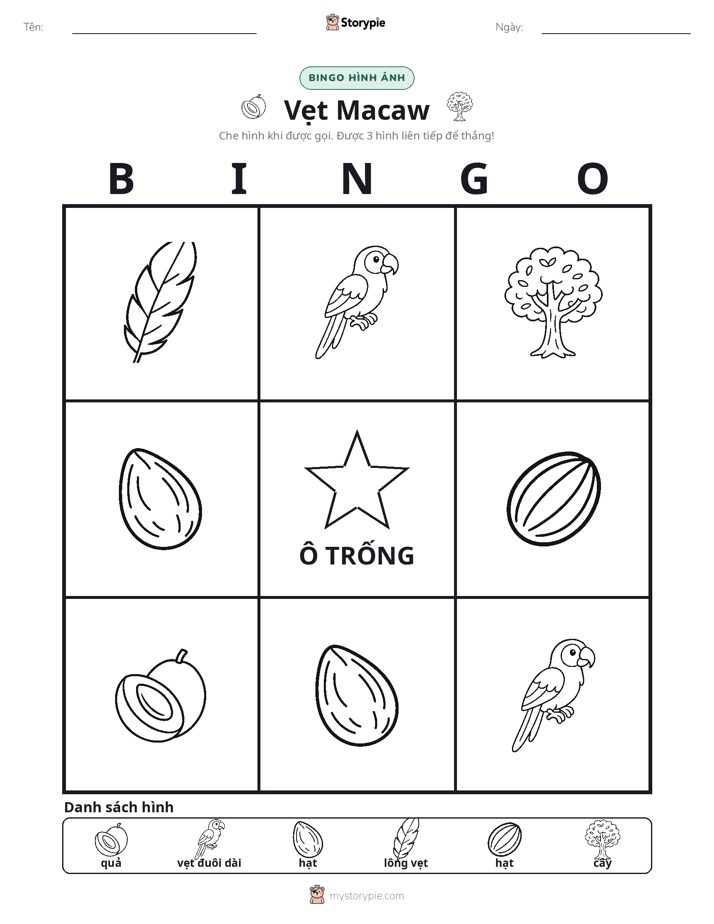 Bingo Hình Ảnh