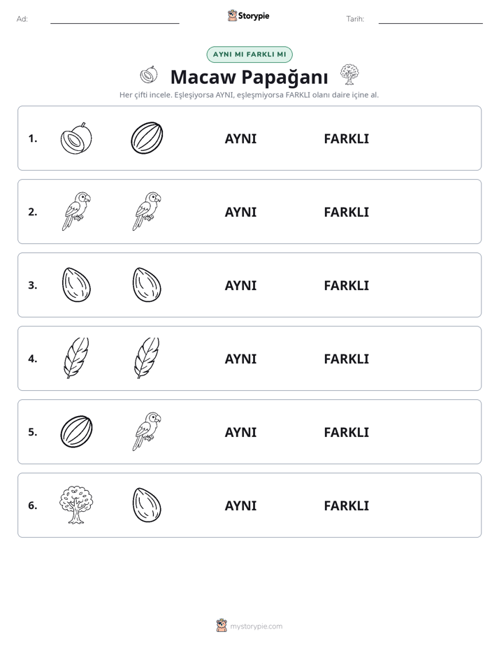 Aynı mı Farklı mı