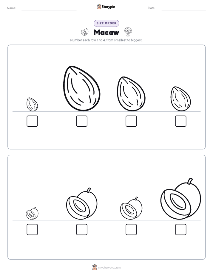 Size Order