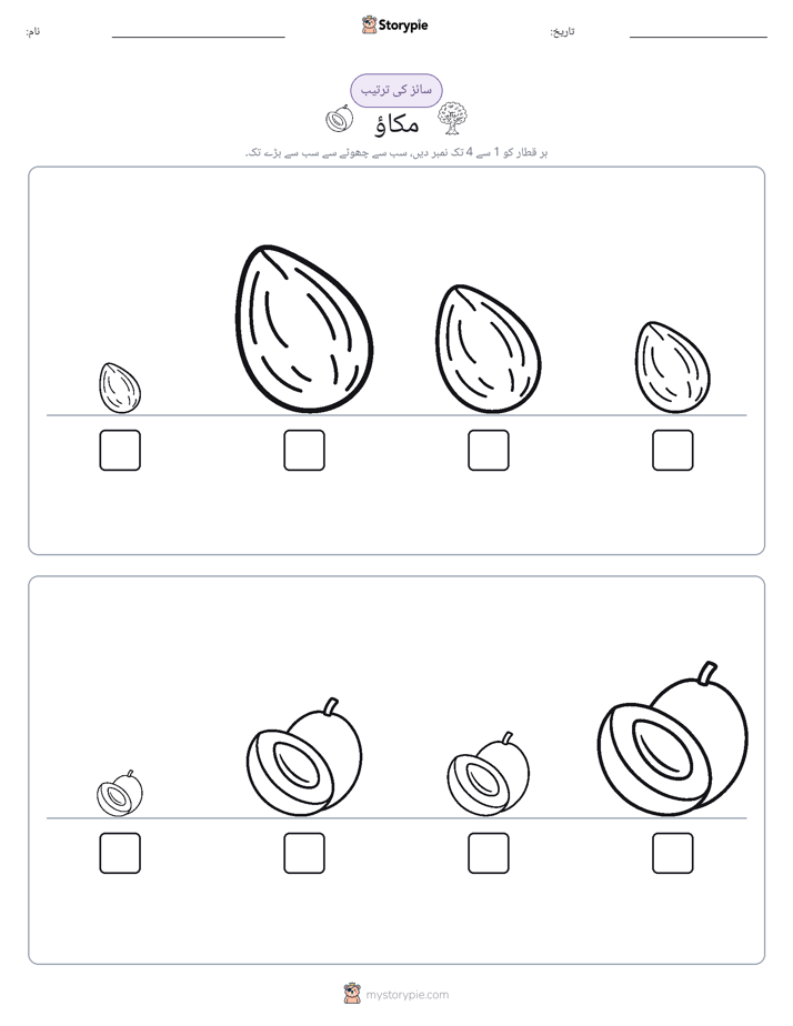 سائز کی ترتیب