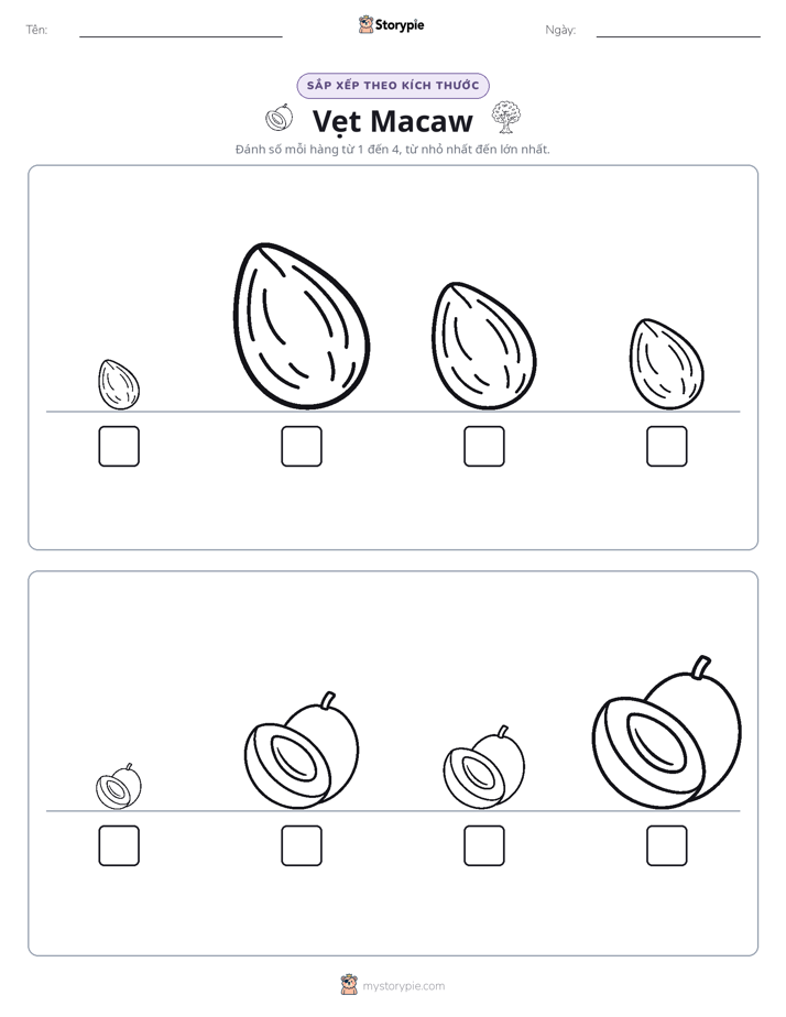 Thứ Tự Kích Thước