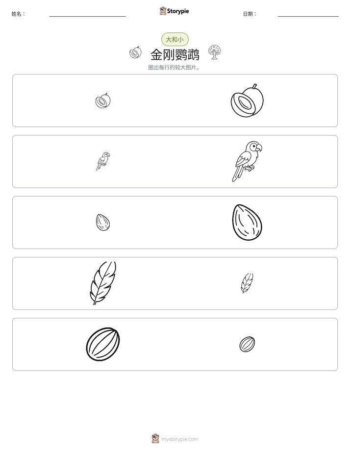 分类