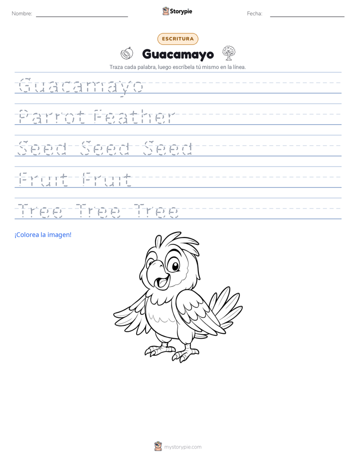 Práctica de Escritura