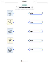 Deforestation printable worksheet preview
