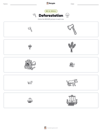 Deforestation printable worksheet preview
