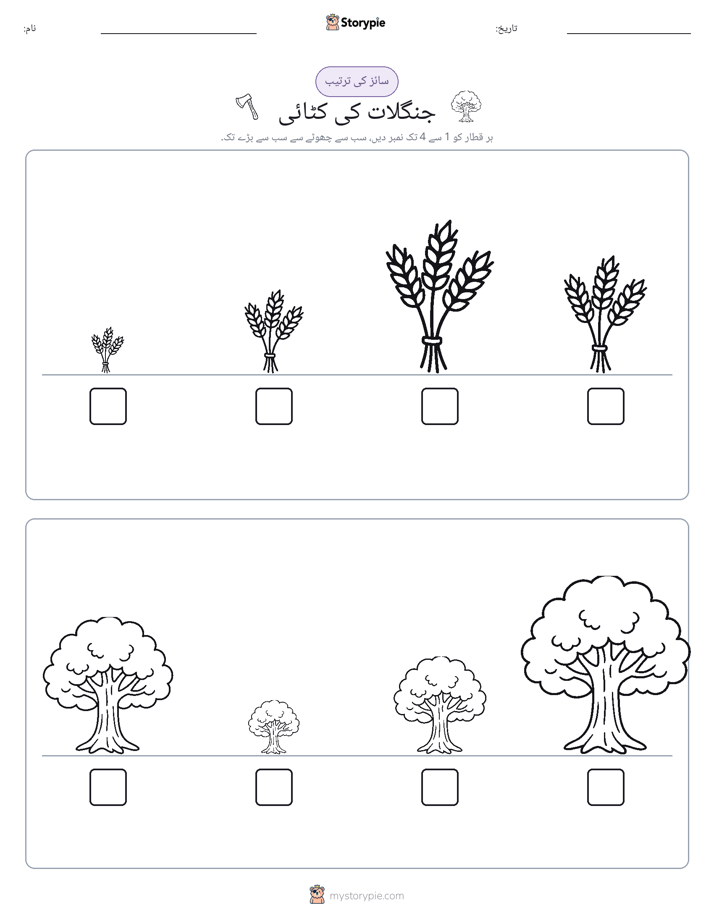 سائز کی ترتیب