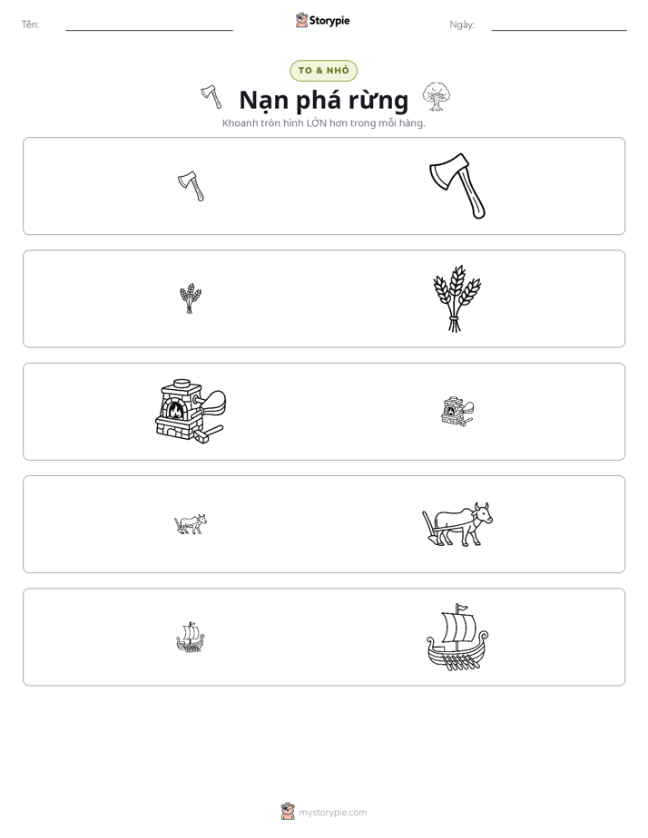 Phân Loại