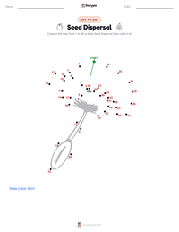 Seed Dispersal printable worksheet preview