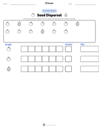 Seed Dispersal printable worksheet preview