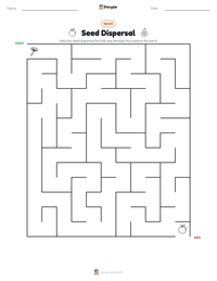 Seed Dispersal printable worksheet preview