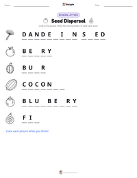 Seed Dispersal printable worksheet preview