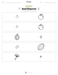 Seed Dispersal printable worksheet preview