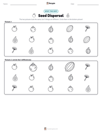 Seed Dispersal printable worksheet preview