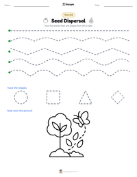 Seed Dispersal printable worksheet preview