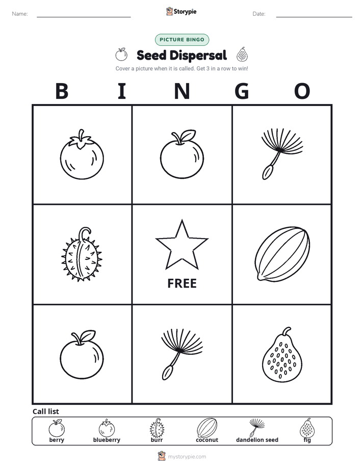 Picture Bingo
