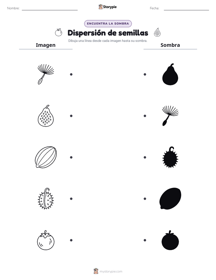 Coincidencia de Sombras