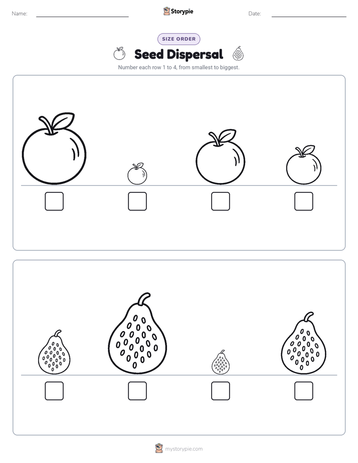 Size Order
