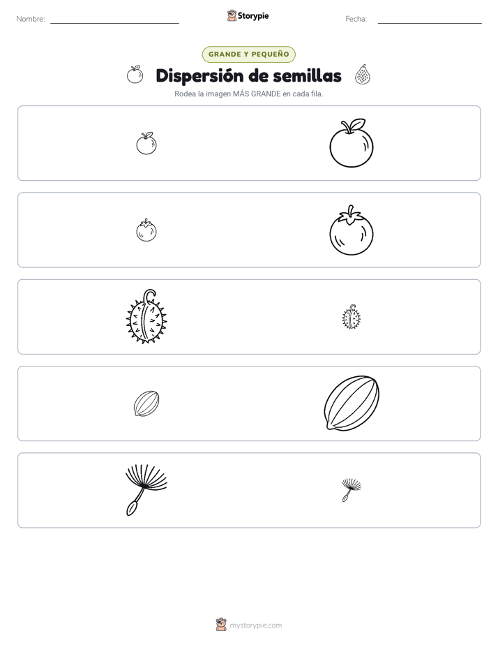 Clasificación