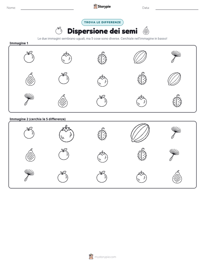 Trova le Differenze