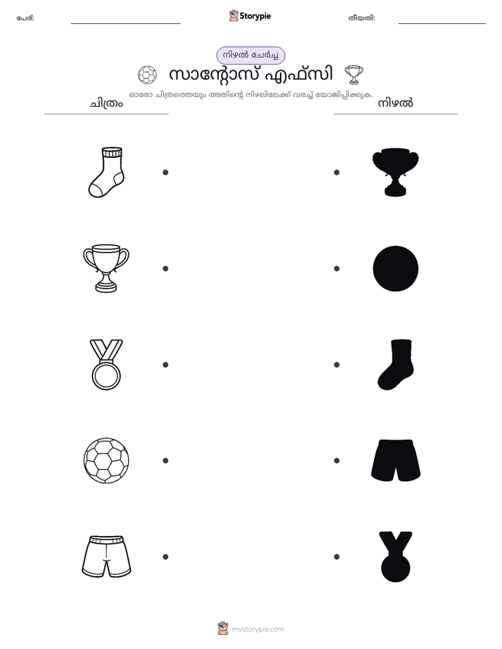 ഷാഡോ മാച്ച്