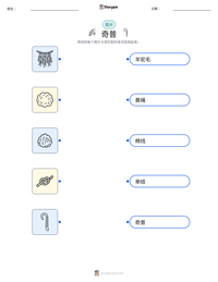 奇普 可打印工作表预览