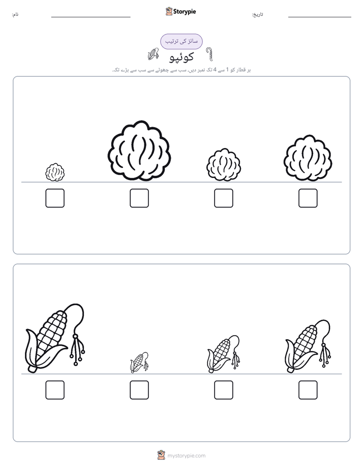 سائز کی ترتیب
