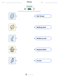 Silk printable worksheet preview