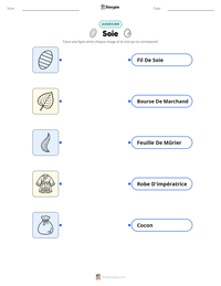 Aperçu de la feuille de travail imprimable Soie