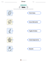 Anteprima della scheda stampabile di Seta