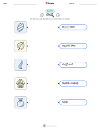ರೇಷ್ಮೆ ಮುದ್ರಣೀಯ ಕಾರ್ಯಪತ್ರದ ಪೂರ್ವದೃಶ್ಯ