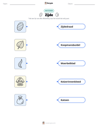 Zijde afdrukbare werkblad voorbeeld